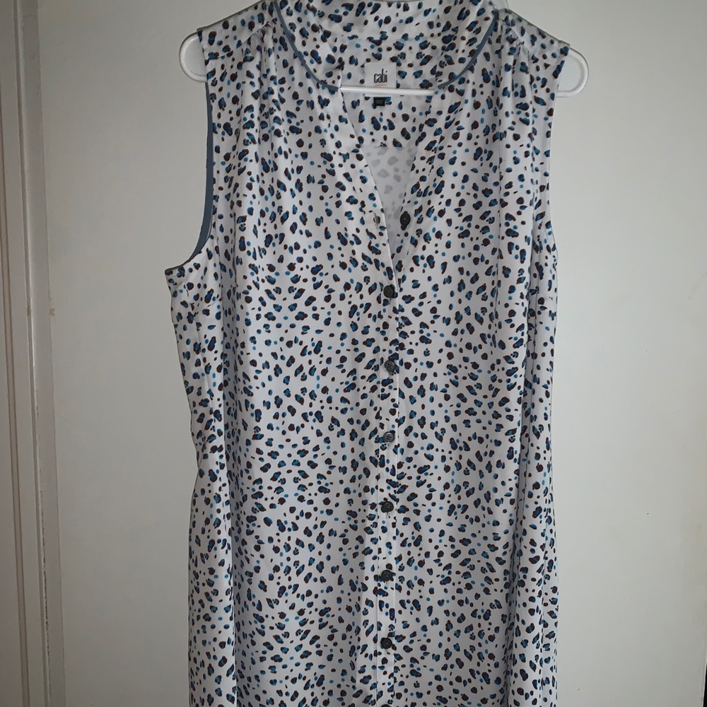 Cabi Dress with Belt